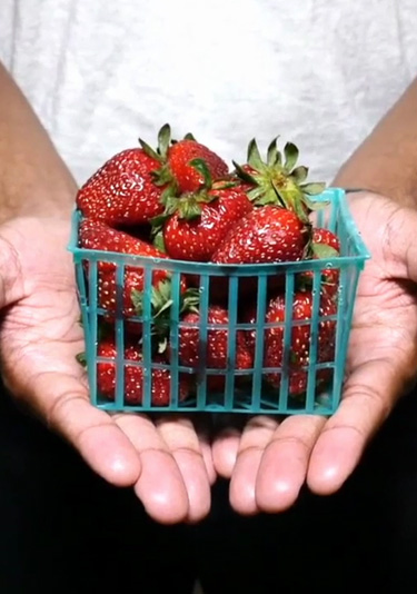 #save the berries mobile